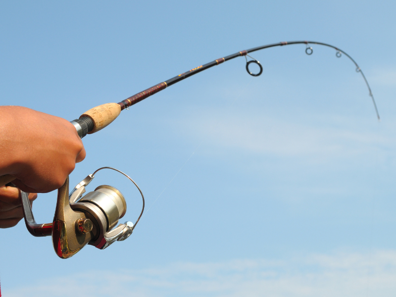 Fishing Rod Power And Action Explained FishAnywhere